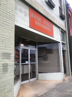 Click to view profile for Bark Street Grooming